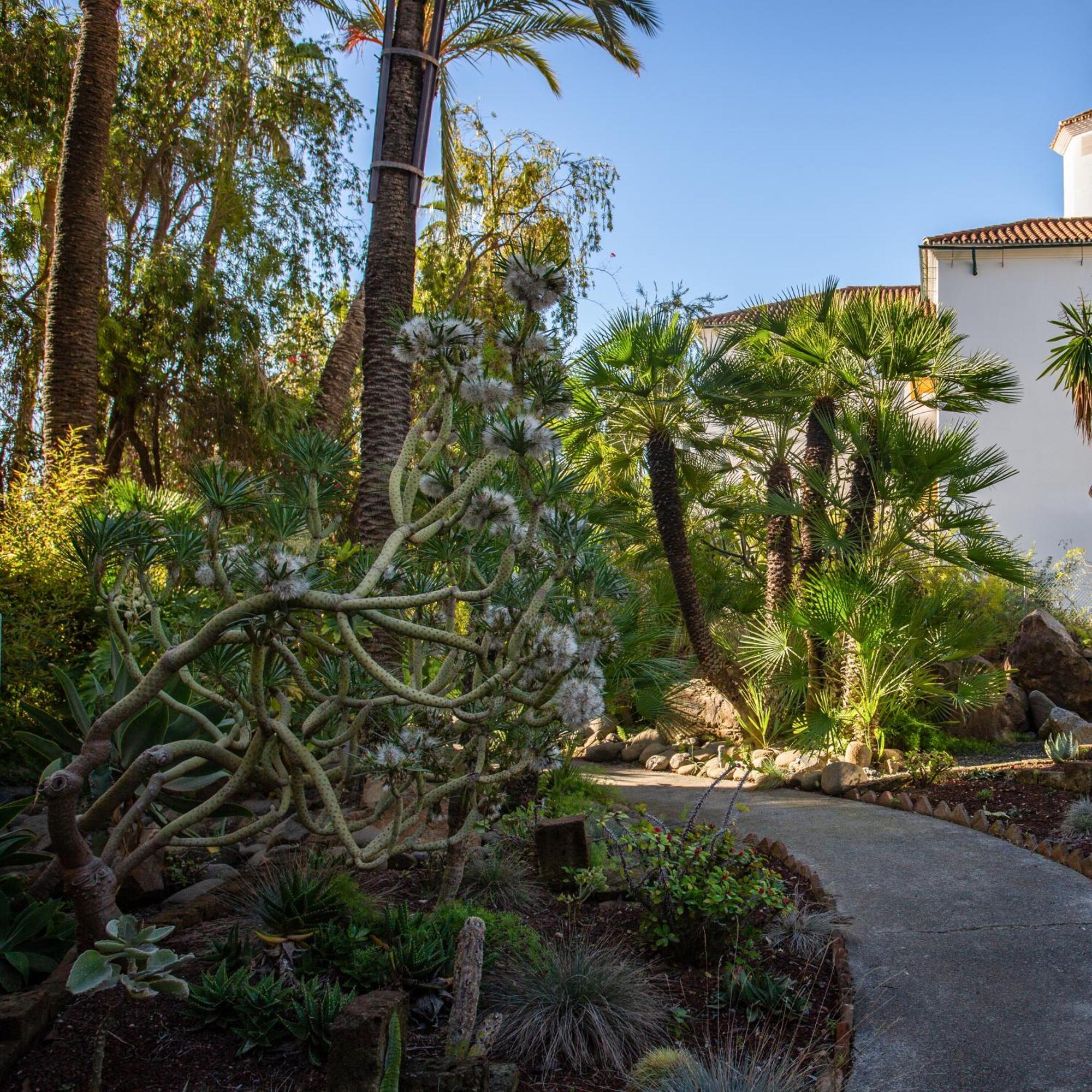 Apartemen Ideal In Marbella, Near Nikki *