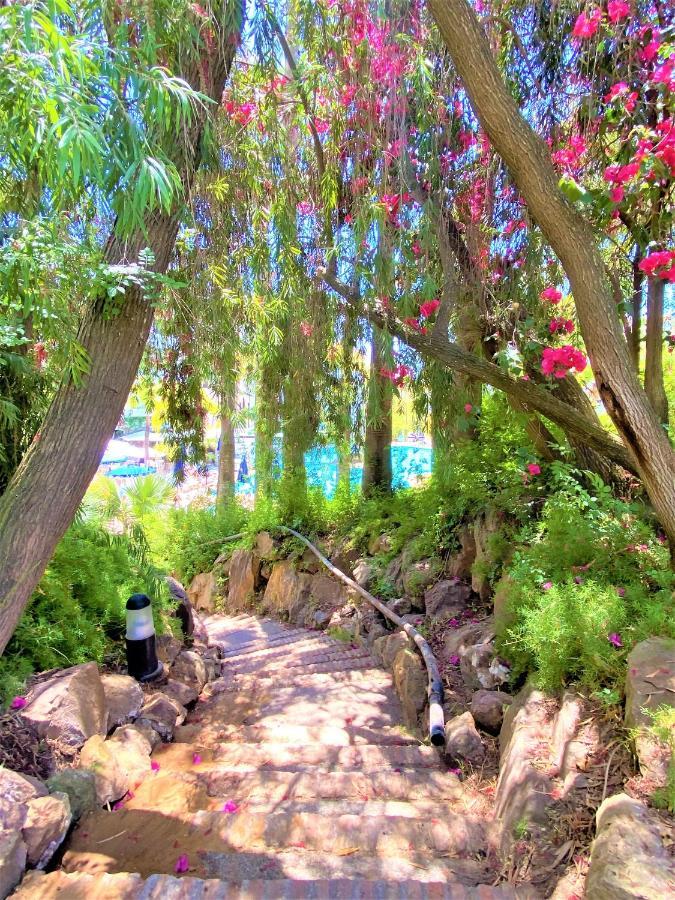 Ideal In Marbella, Near Nikki Marbella